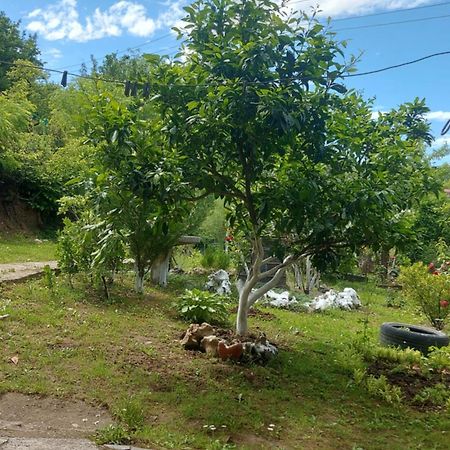 Mero House 库塔伊西 外观 照片